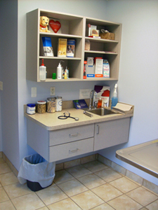 Exam room cabinet